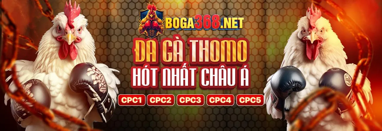Quy tắc cá cược thể thao by88