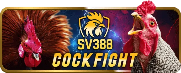 Dịch vụ chăm sóc khách hàng 24/7 by88